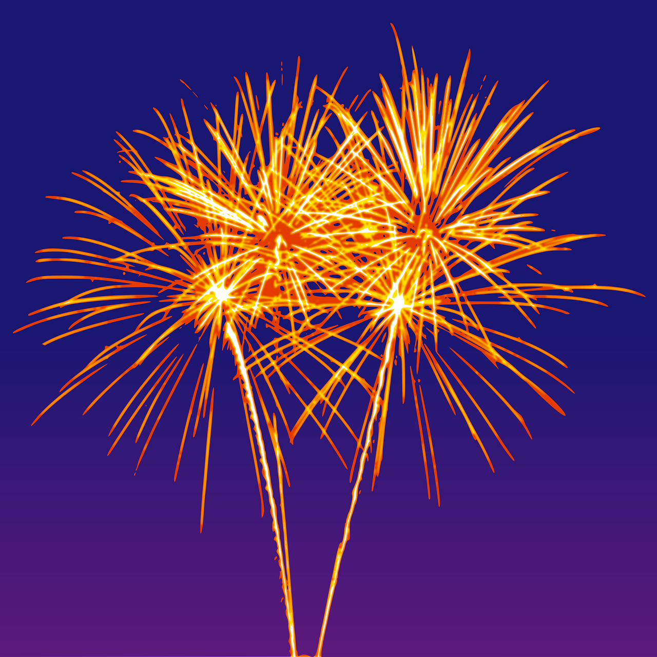 Firework Image