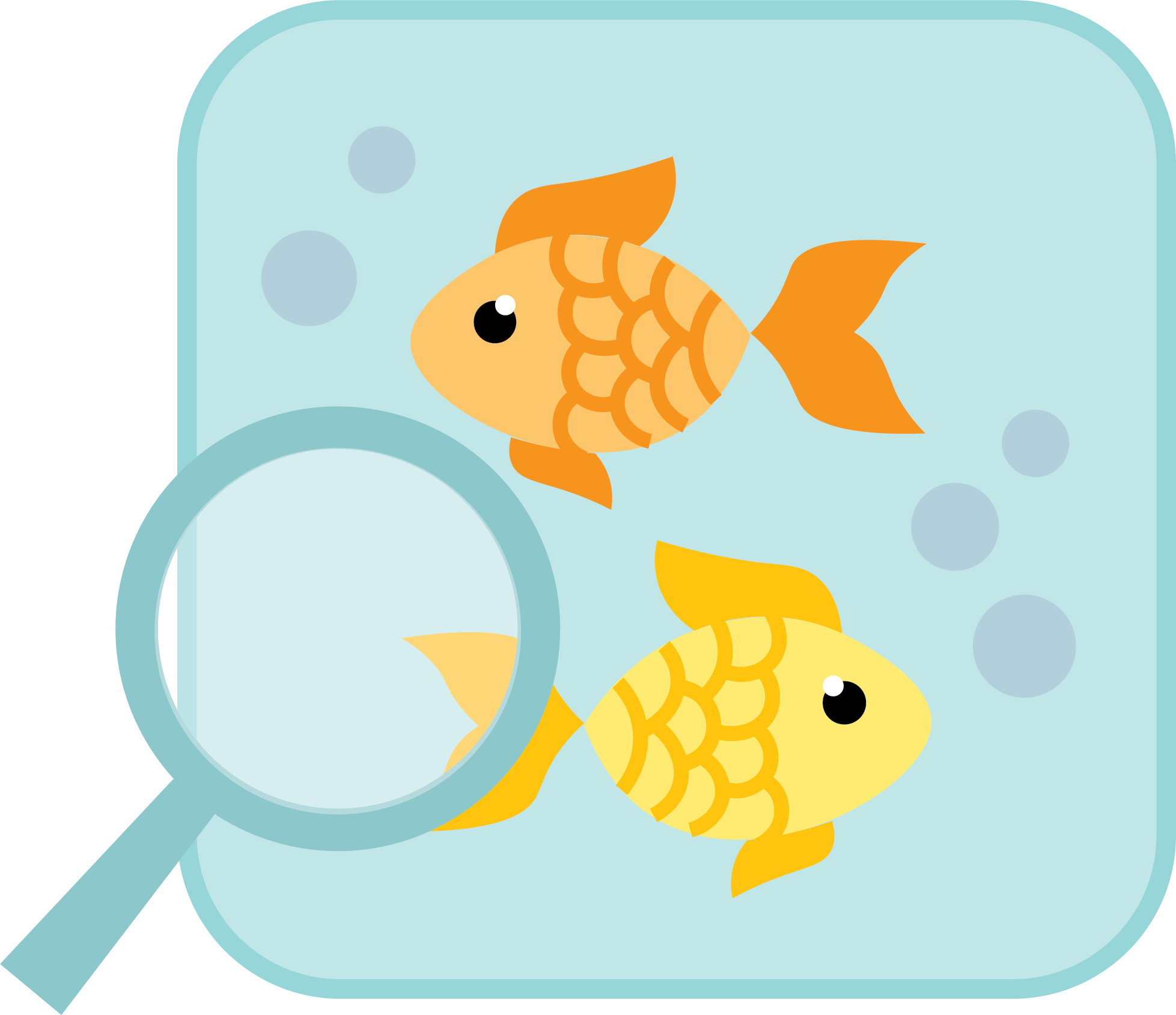 Trouver les différences