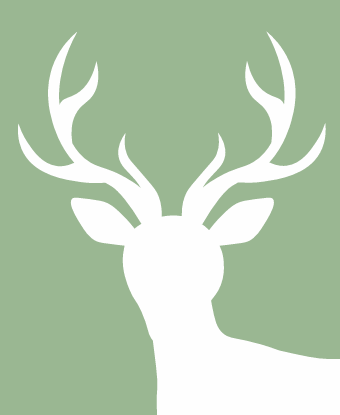 deer outline