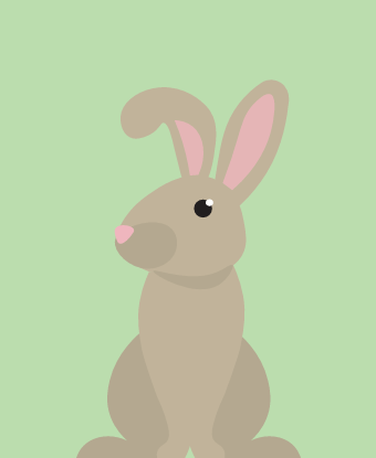 rabbit