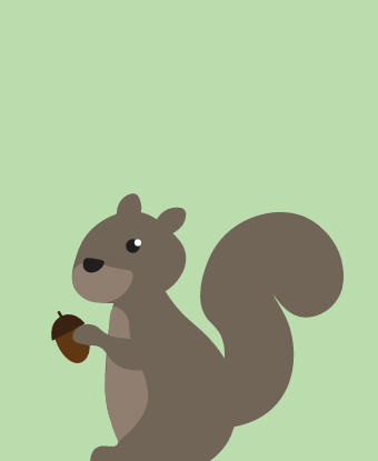 squirrel