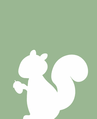 squirrel outline