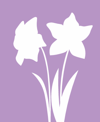 daffodil outline