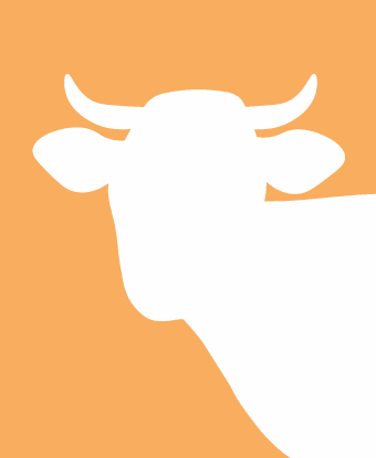 cow outline
