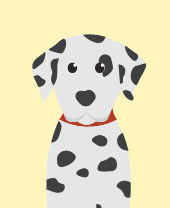 dalmatian
